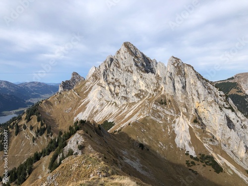 Allgäuer Berge im Sommer