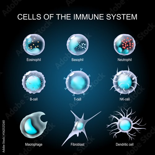 Set of Cells of the immune system. White blood cells. transparent realistic cells on a dark background.