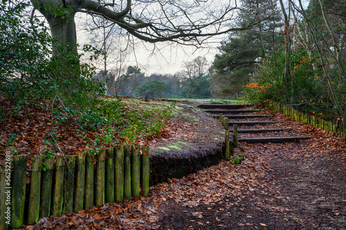 Keston Common near the village of Keston in Kent, UK. A footpath leading up some steps. Seen in winter near the Keston Ponds.