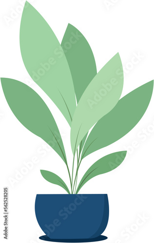 Plant in blue pot vector. House plant isolated 