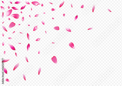 White Blooming Vector Transparent Background.