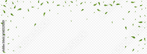 Olive Greens Swirl Vector Panoramic Transparent