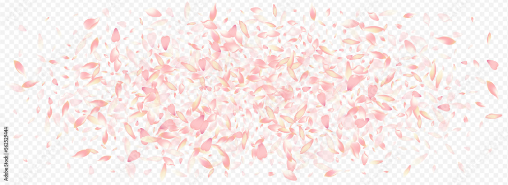 Fototapeta premium Color Rosa Vector Panoramic Transparent