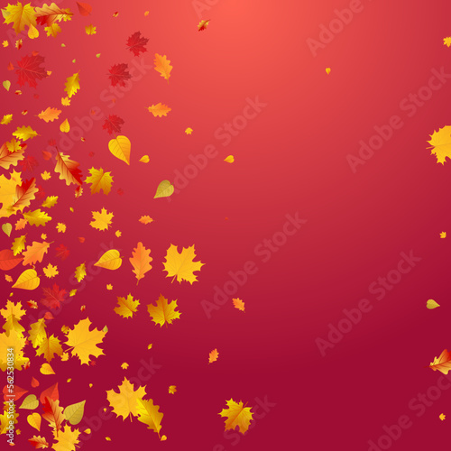 Red Floral Vector Red Background. Paper Plant