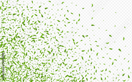 Wallpaper Mural Lime Leaves Spring Vector Transparent Background Torontodigital.ca