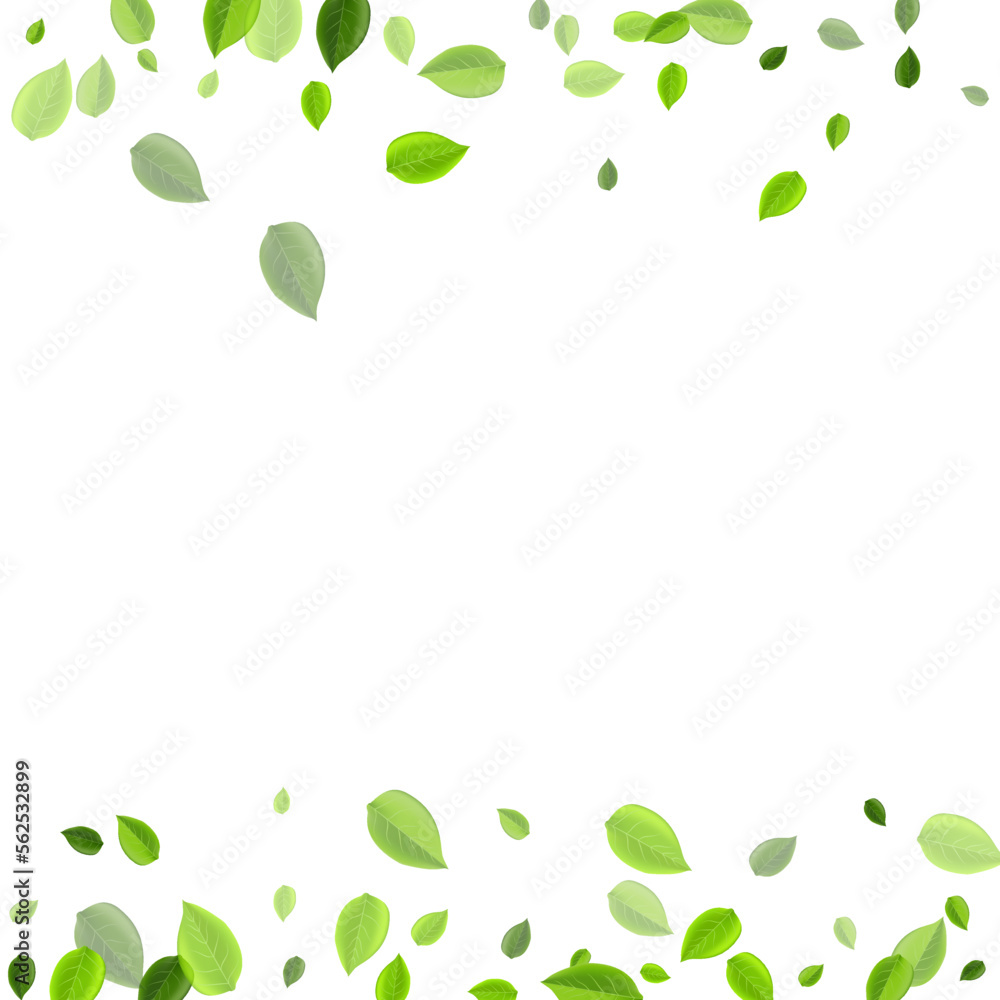 Lime Foliage Ecology Vector Design. Nature Leaves Lime Foliage Ecology Vector Design. Nature Leaves