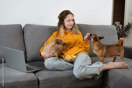 Teen girl watch film on laptop while relaxing in the living room. She is sitting on couch, eating popcorn, watching a movie at home. Two small dog pets wants snack.