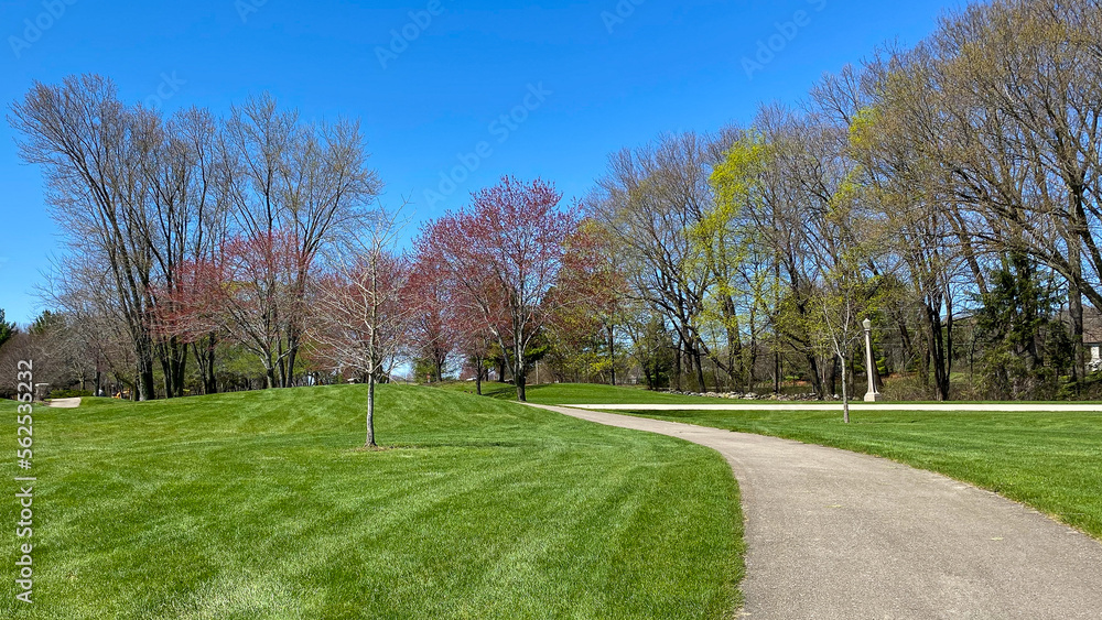 spring morning on the golf course