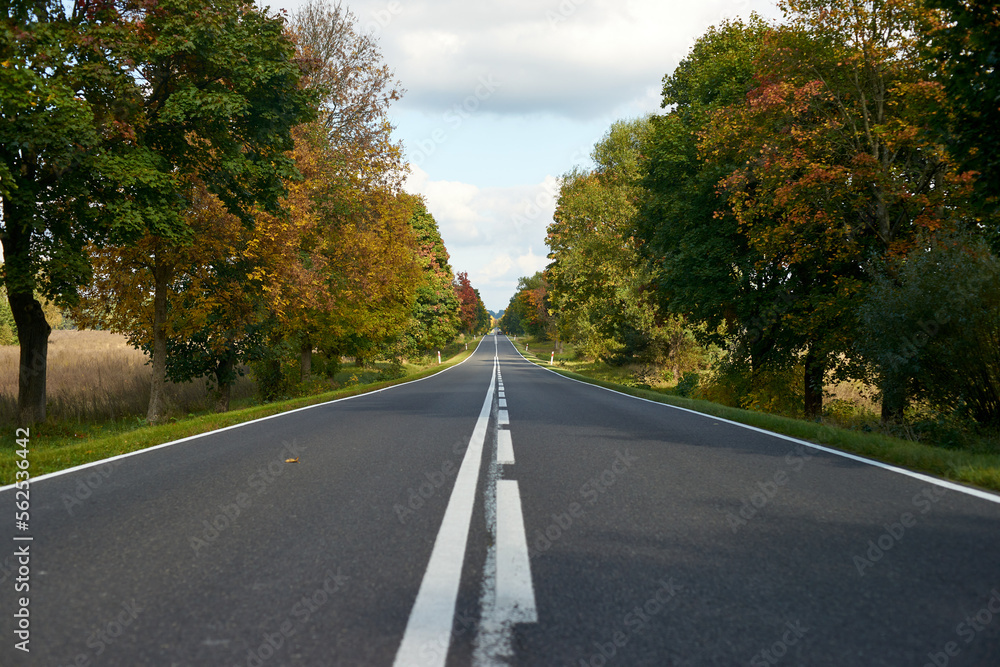 Autumn road, somewhere in Poland Autumn road, somewhere in Poland