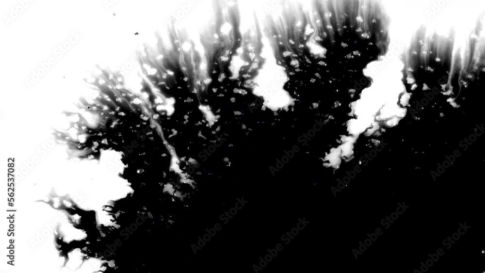 Black ink artistic flow splatter spots spills white paper beautiful reveal dripping streaks spread fluid ink alpha matte isolated watercolor ink drops transition Black ink artistic flow splatter spots spills white paper beautiful reveal dripping streaks spread fluid ink alpha matte isolated watercolor ink drops transition
