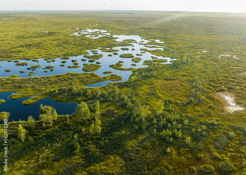 Swamp landscape. Wild mire of Yelnya in Belarus. East European swamps and Peat Bogs. Ecological reserve in wildlife. Marshland with islands and pine trees. Swampy land and wetland, marsh, bog.