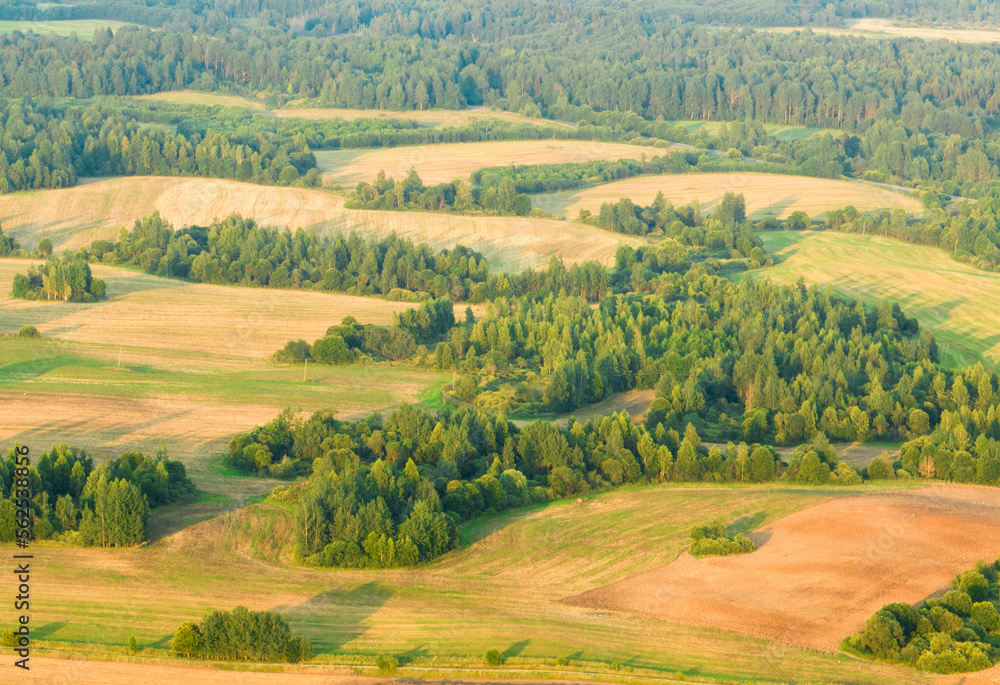 Forest with trees and fields, aerial view. Field in wild nature, aerial view. Wildlife in green background, aerial view. Forest background. Rural landscape.