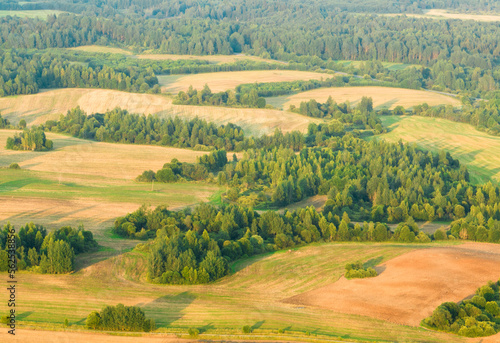 Forest with trees and fields  aerial view. Field in wild nature  aerial view. Wildlife in green background  aerial view. Forest background. Rural landscape.