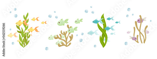 Cartoon flocks of fish swim among the algae. Vector graphics.