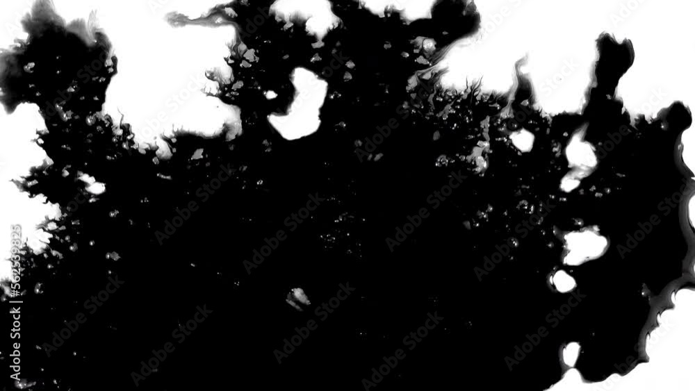 Black ink artistic flow splatter spots spills white paper beautiful reveal dripping streaks spread fluid ink alpha matte isolated watercolor ink drops transition Black ink artistic flow splatter spots spills white paper beautiful reveal dripping streaks spread fluid ink alpha matte isolated watercolor ink drops transition