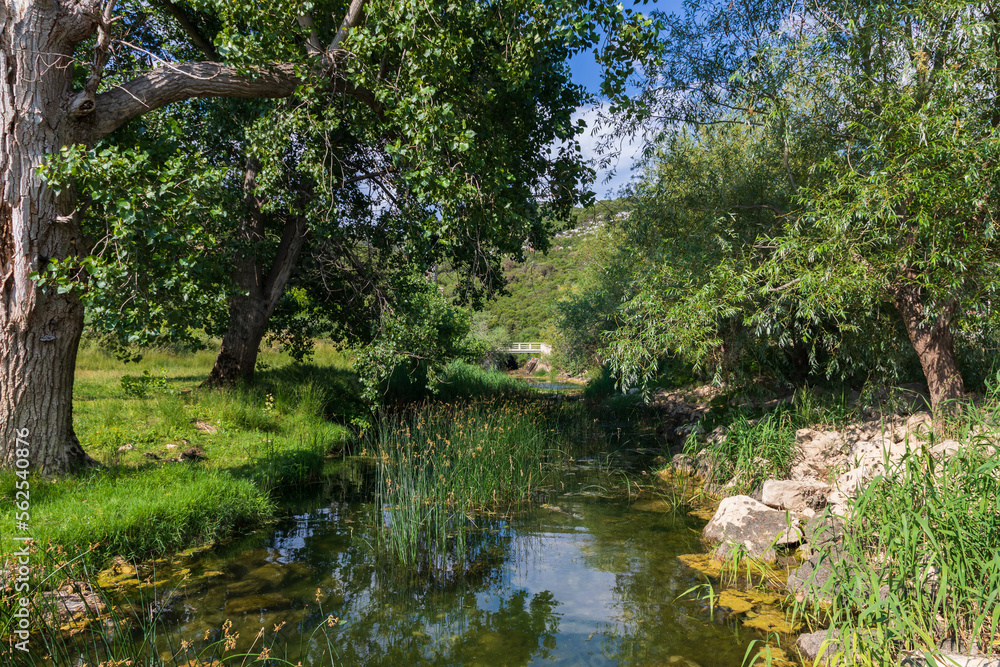 Seaside landscape in the Peljesac region of Croatia.