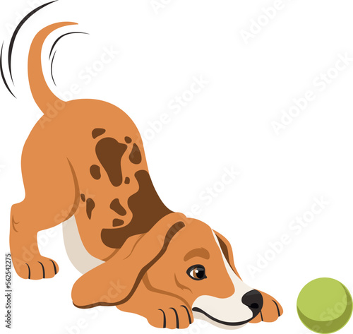 Funny puppy playing with ball. Cartoon beagle dog