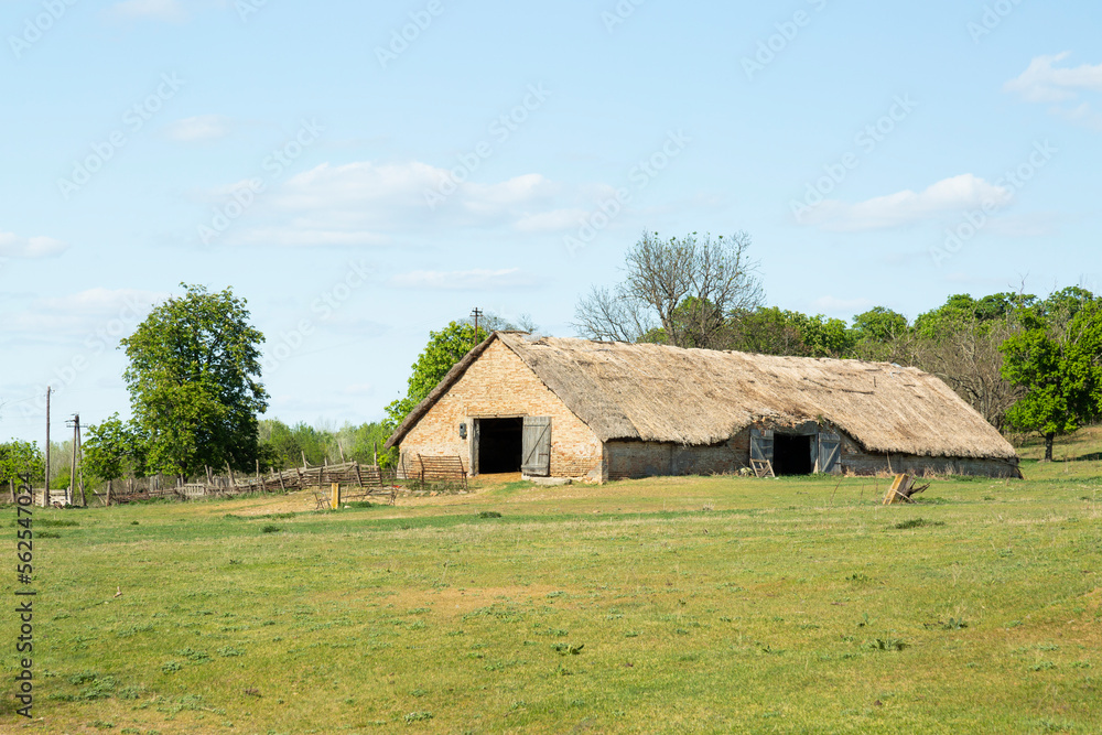 farming in Hungary