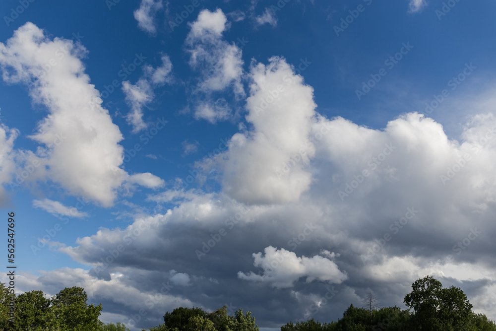Fragment of the sky with clouds over the tree tops