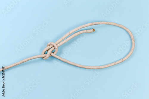 Rope knot bowline on a blue background