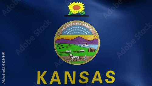 Kansas State Flag Loop