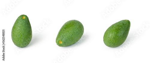avocado ettinger on white isolated background