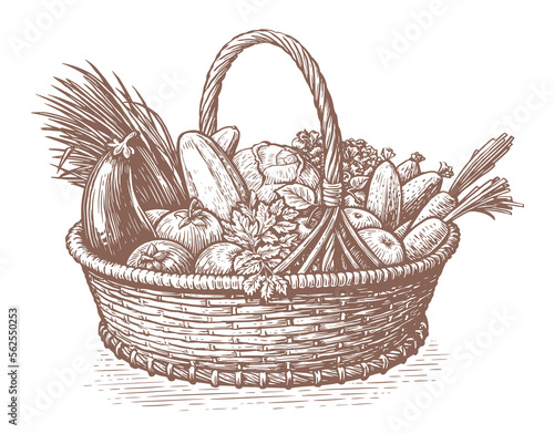 Hand drawn basket full of fresh vegetables. Farm organic food. Sketch vintage vector illustration