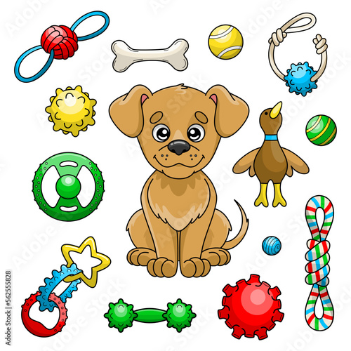 Set of dog toys. Collection of game products and accessories for pet shop. Balls, bones and other play supplies for domestic animals. Colorful vector isolated illustrations in cartoon style.