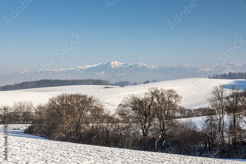 Winter snowy landscape with mountain in background  northwest of Slovakia  Europe.