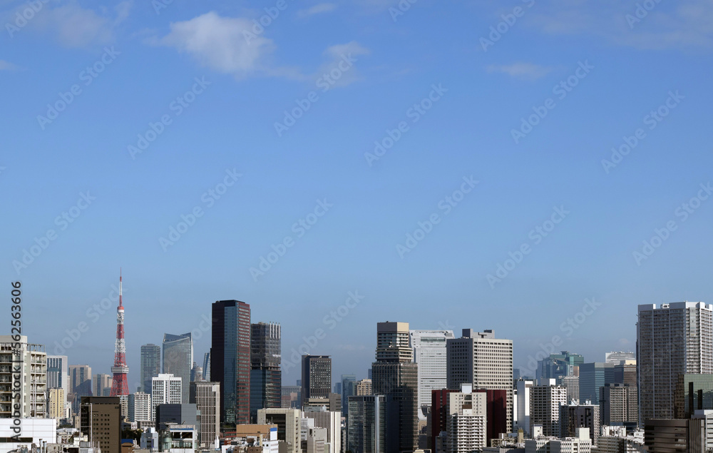 Obraz premium 東京の街並みと東京タワー、上空撮影、東京のビル群