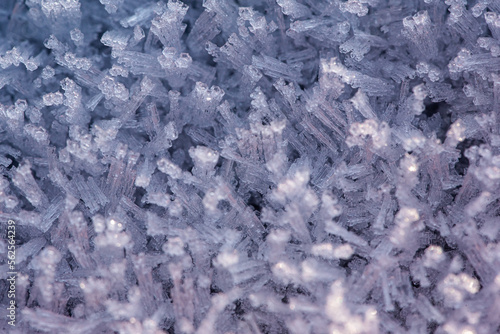 Close up picture of frost and snow on a car on a cold morning