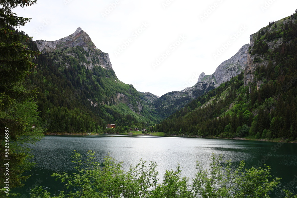 View on the Taney Lake which is a lake in the canton of Valais, Switzerland.