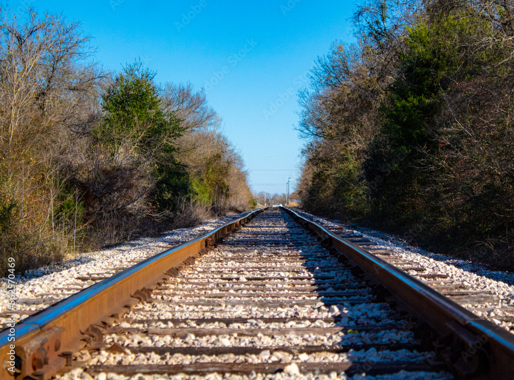 Fototapeta premium railway in the countryside