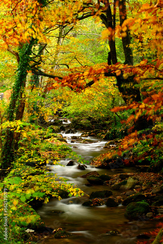 Hermo monastery Natural Park- Narcea river, Asturias, Spain photo