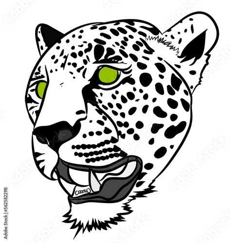 jaguar  photo