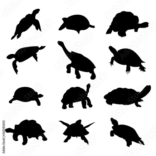 Set of turtle animal silhouettes of various styles