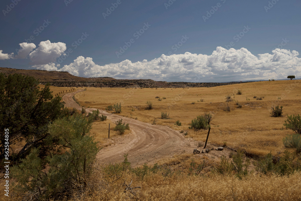 Valley Dirt Road