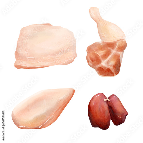 chicken Cuts of food meat set. watercolor vector illustration