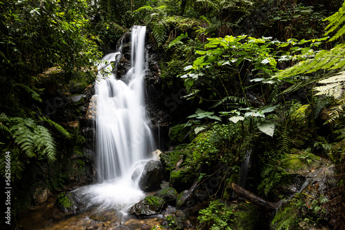 Waterfall in Bwindi Impenetrable Forest © Michael