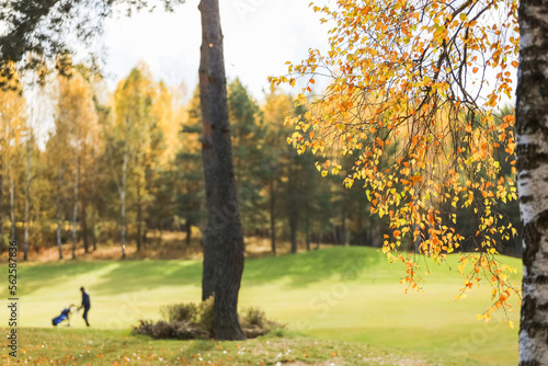 Golf course, landscape, green grass on the background of the forest and a bright sky with clouds. High quality photo photo