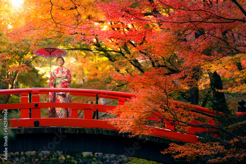 Asian traveler on Kimono traditional japanese dress standing with red umbrella in Golden kinkakuji temple photo