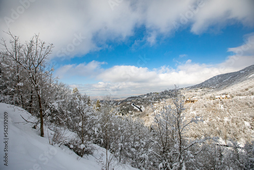 Snow Scapes on a sunny day