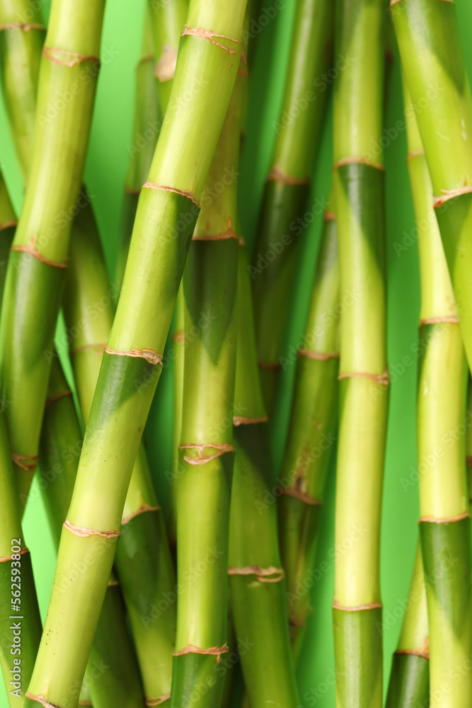 Green bamboo stems on color background, closeup Green bamboo stems on color background, closeup