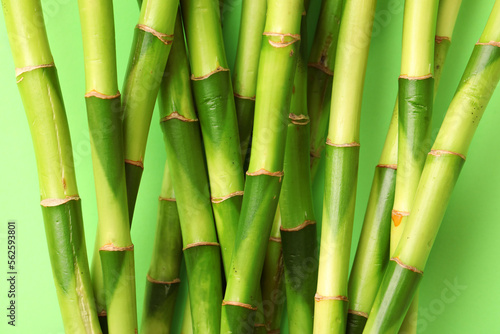 Fototapeta Naklejka Na Ścianę i Meble -  Green bamboo stems on color background, closeup