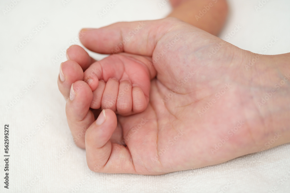 mother holding newborn baby hand on bed mother holding newborn baby hand on bed