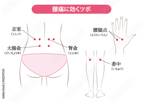 腰痛に効くツボ
