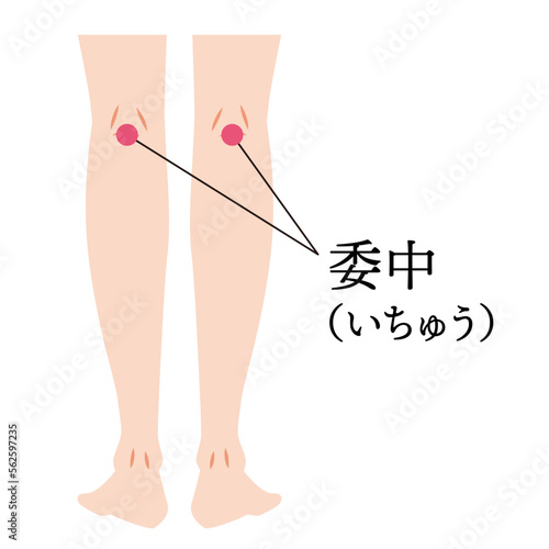 足のツボ　委中