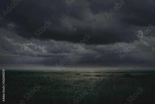 Fototapeta Naklejka Na Ścianę i Meble -  empty lawn at dark cloud