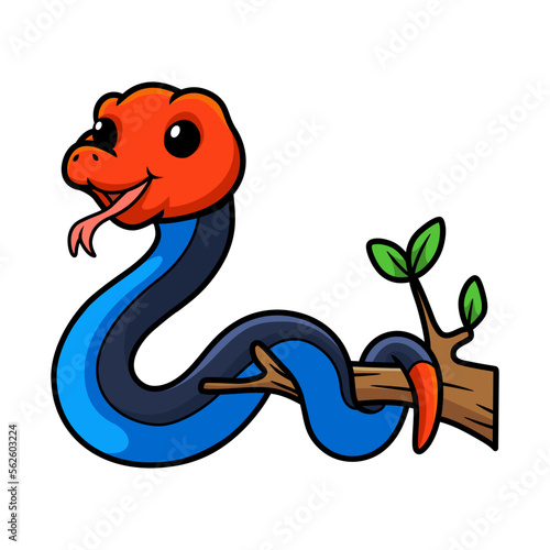 Cute red headed krait snake cartoon on tree branch