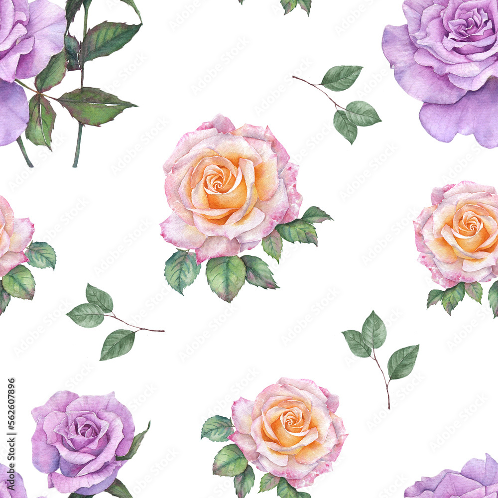 Roses watercolor painting seamless background Roses watercolor painting seamless background